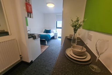 1 bed studio, Pitt St, Newcastle Upon Tyne, Newcastle, NE45SU - Image 3